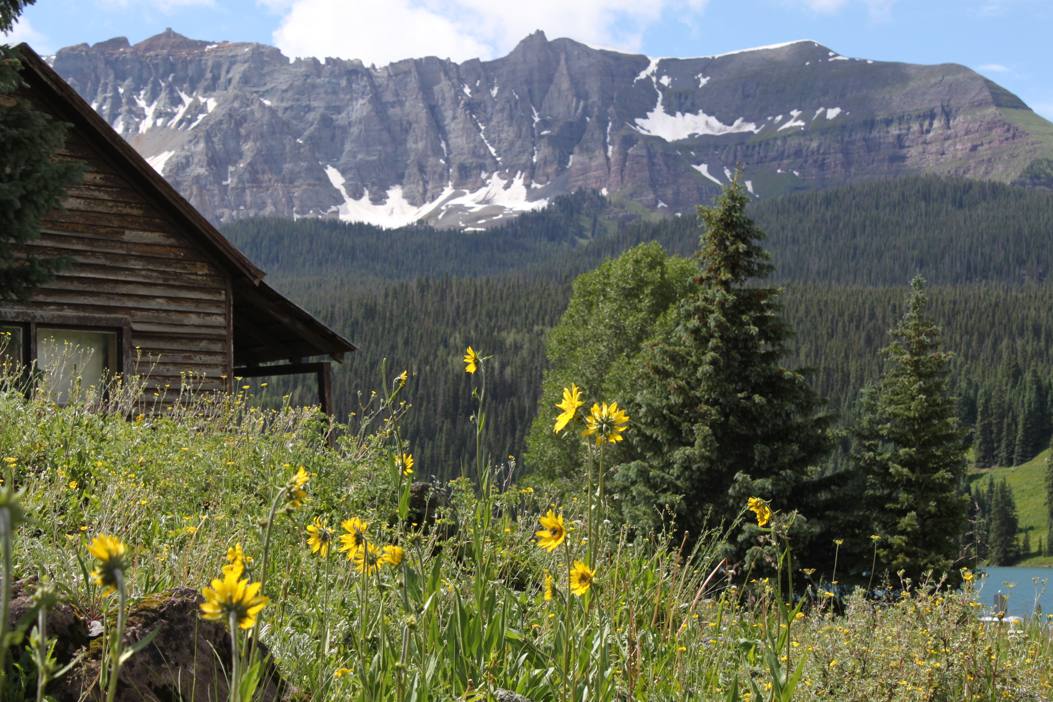Essay: My Summer Vacation