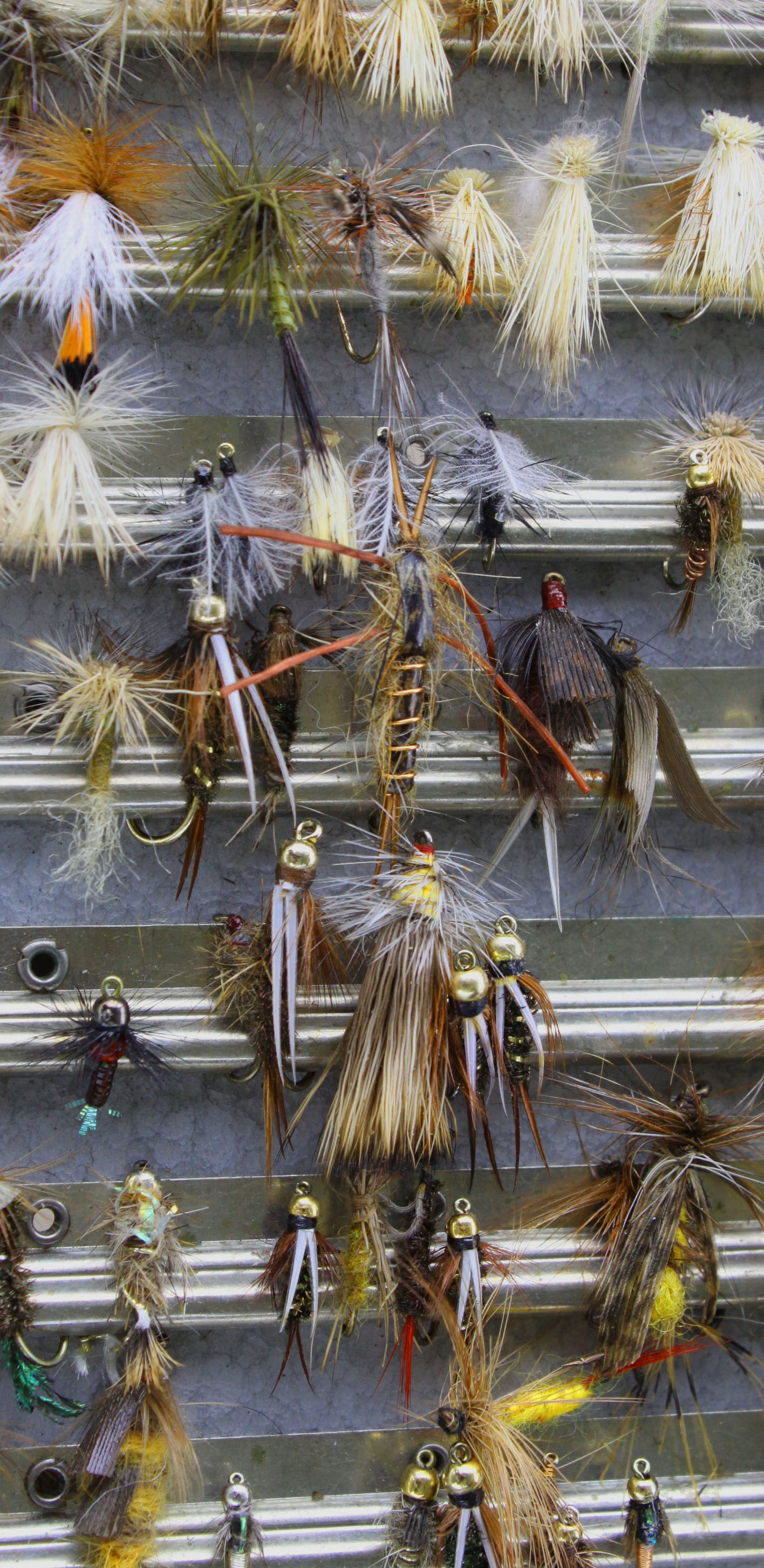 Spring Fly Fishing in Colorado