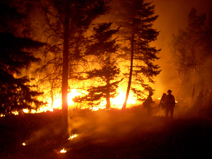 HUNTING DURING FIRE&nbsp;SEASON